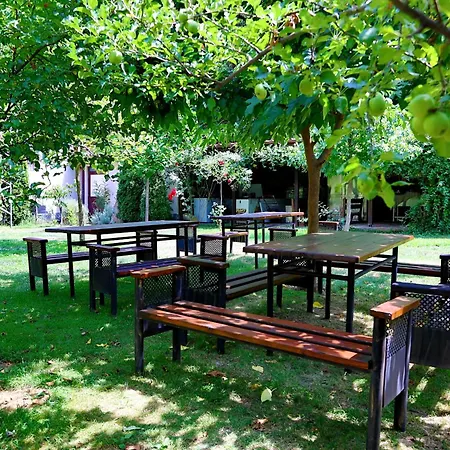 Hotel свети трифон