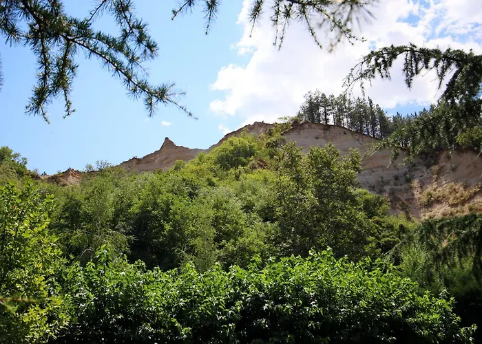 свети трифон *