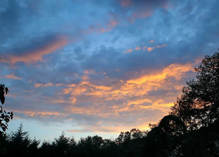 свети трифон