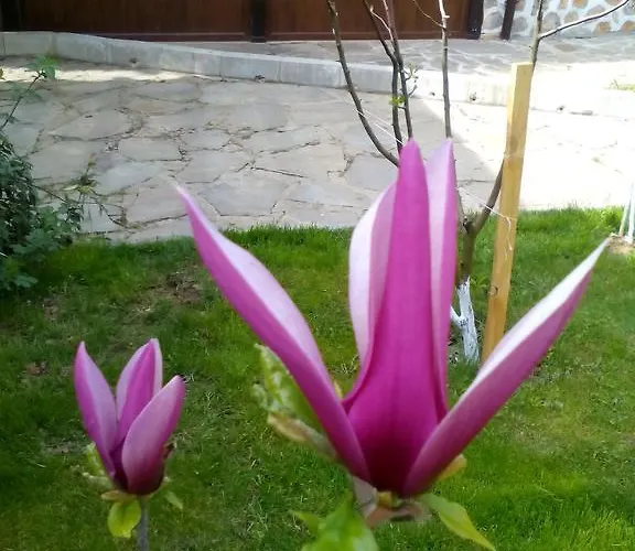 свети трифон Melnik (Blagoevgrad)